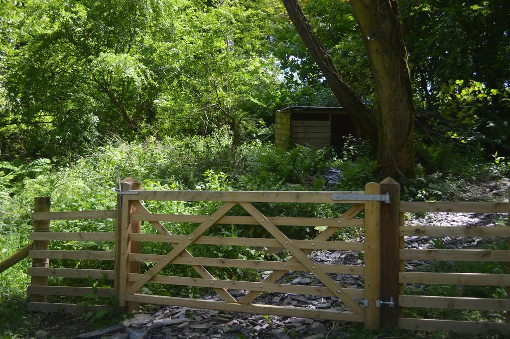 Troedyrhiw Bed & Breakfast Cardigan Luaran gambar